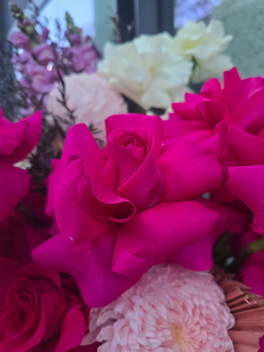 Brilliance (inc Pot) - ROSE & CO