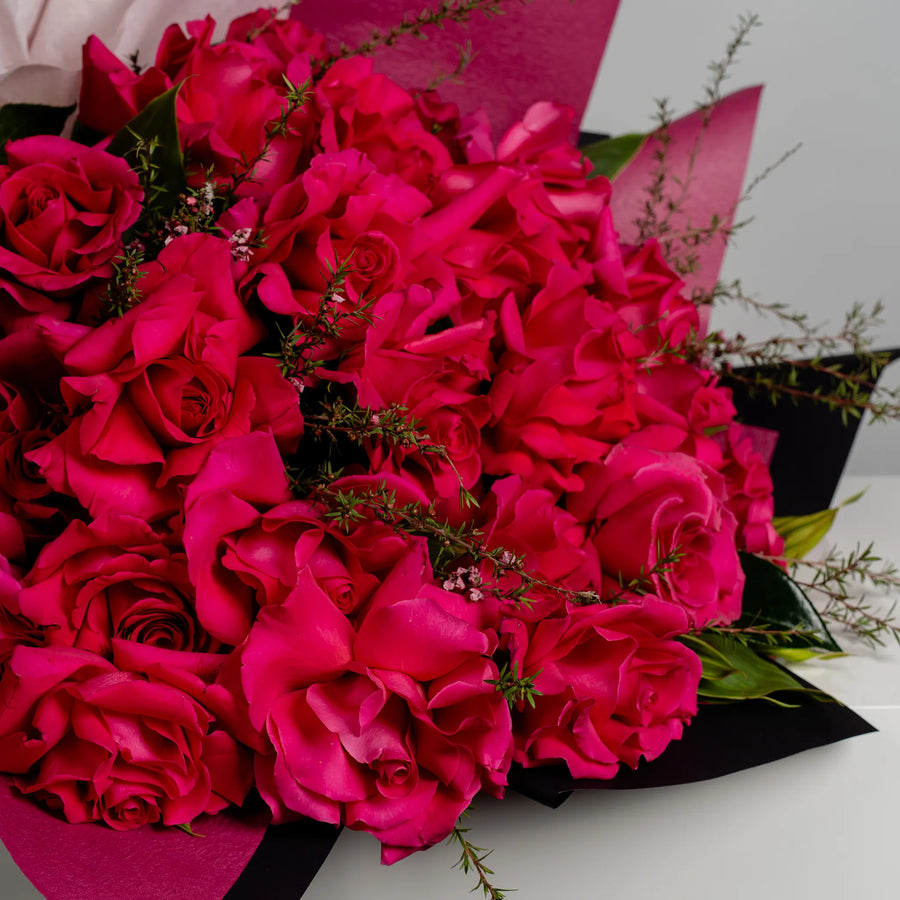 Candy Lane