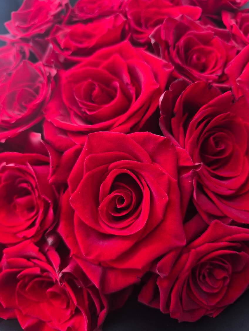 Rose Bouquet - ROSE & CO