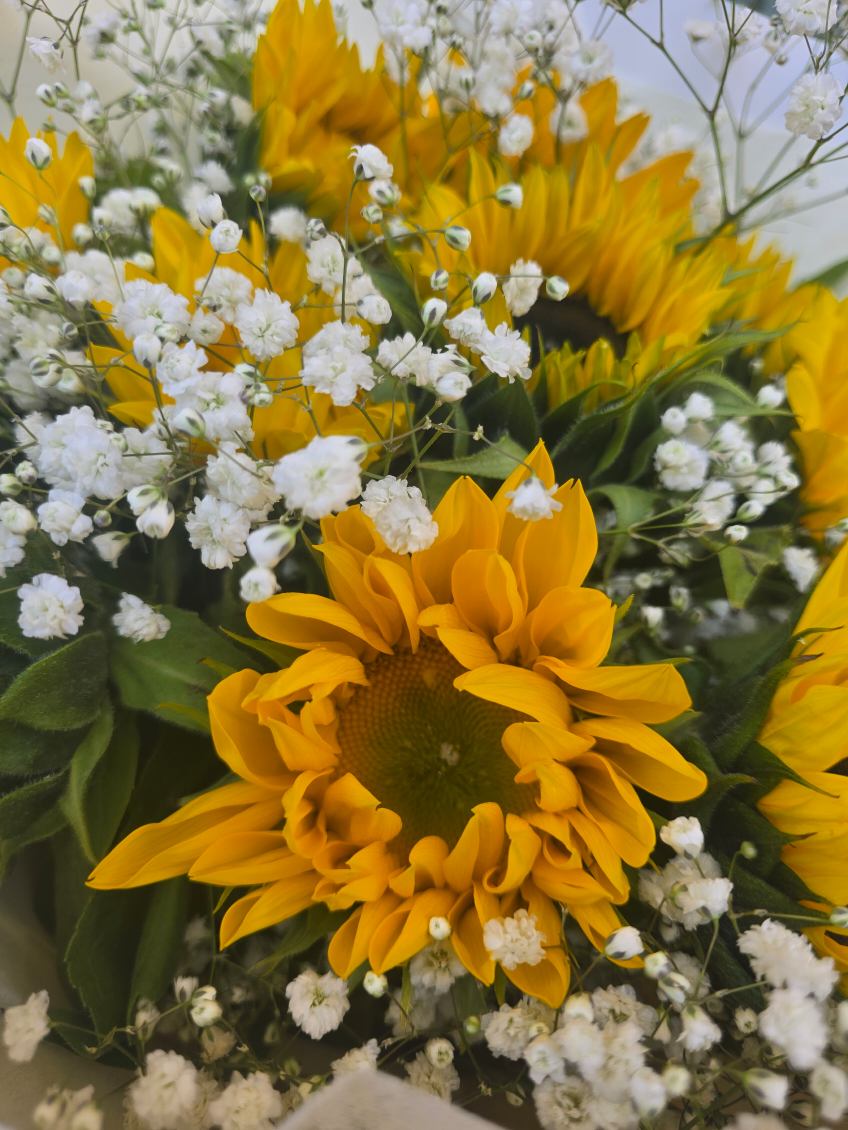 Sunflowers with Baby&