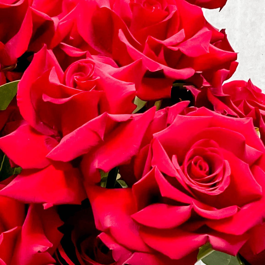 Ruby Red (inc Vase) - ROSE & CO