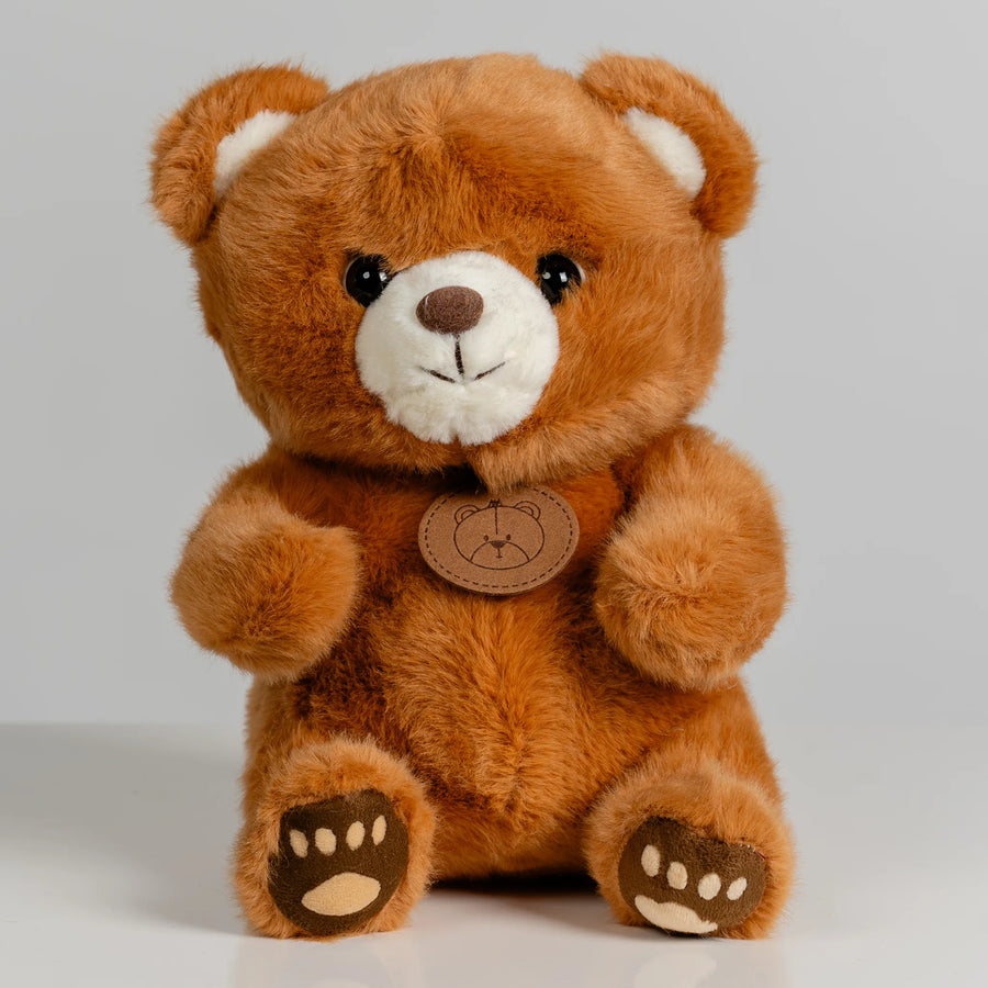 Brown Bear with Paw Prints 22cm