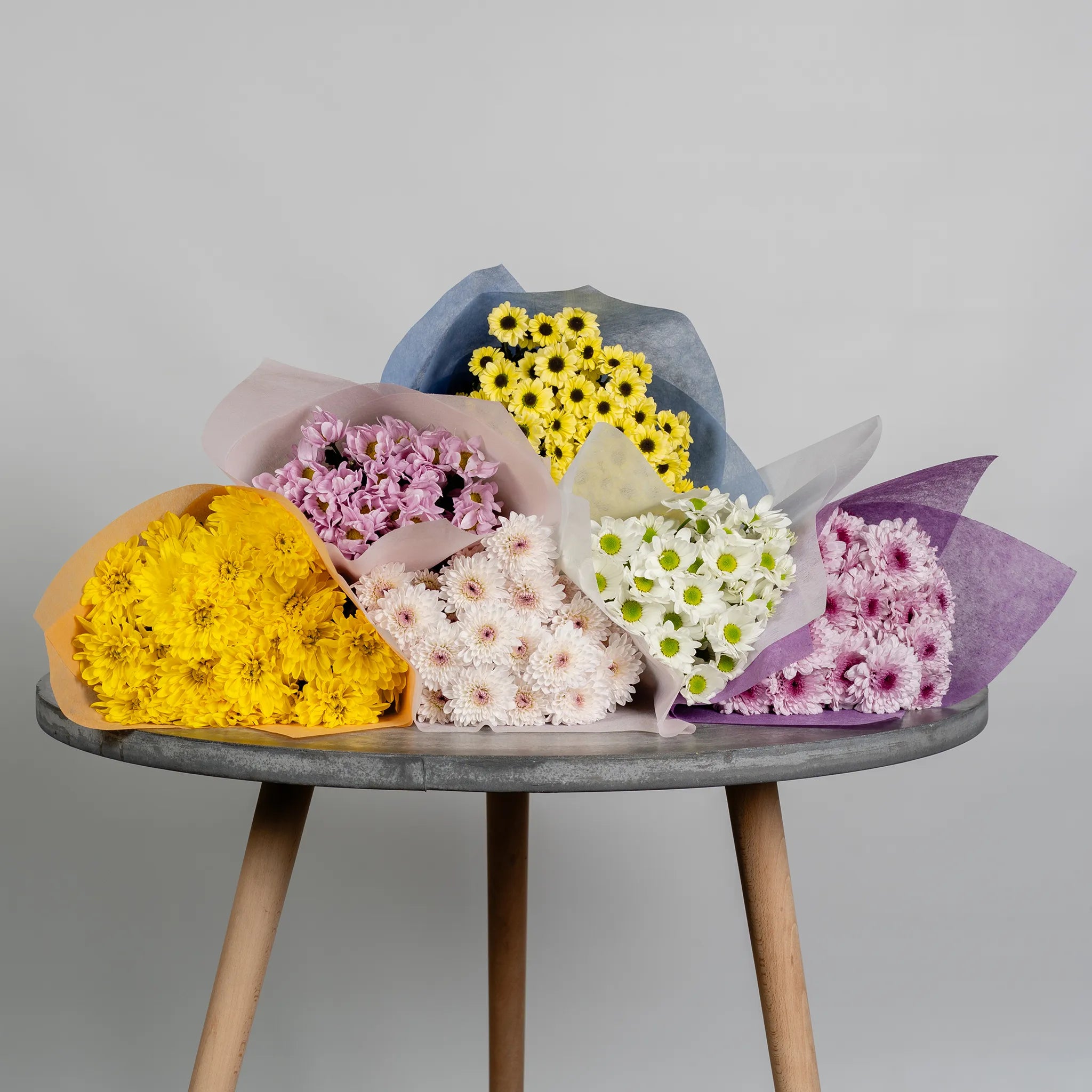 Timeless Daisy Chrysanthemums