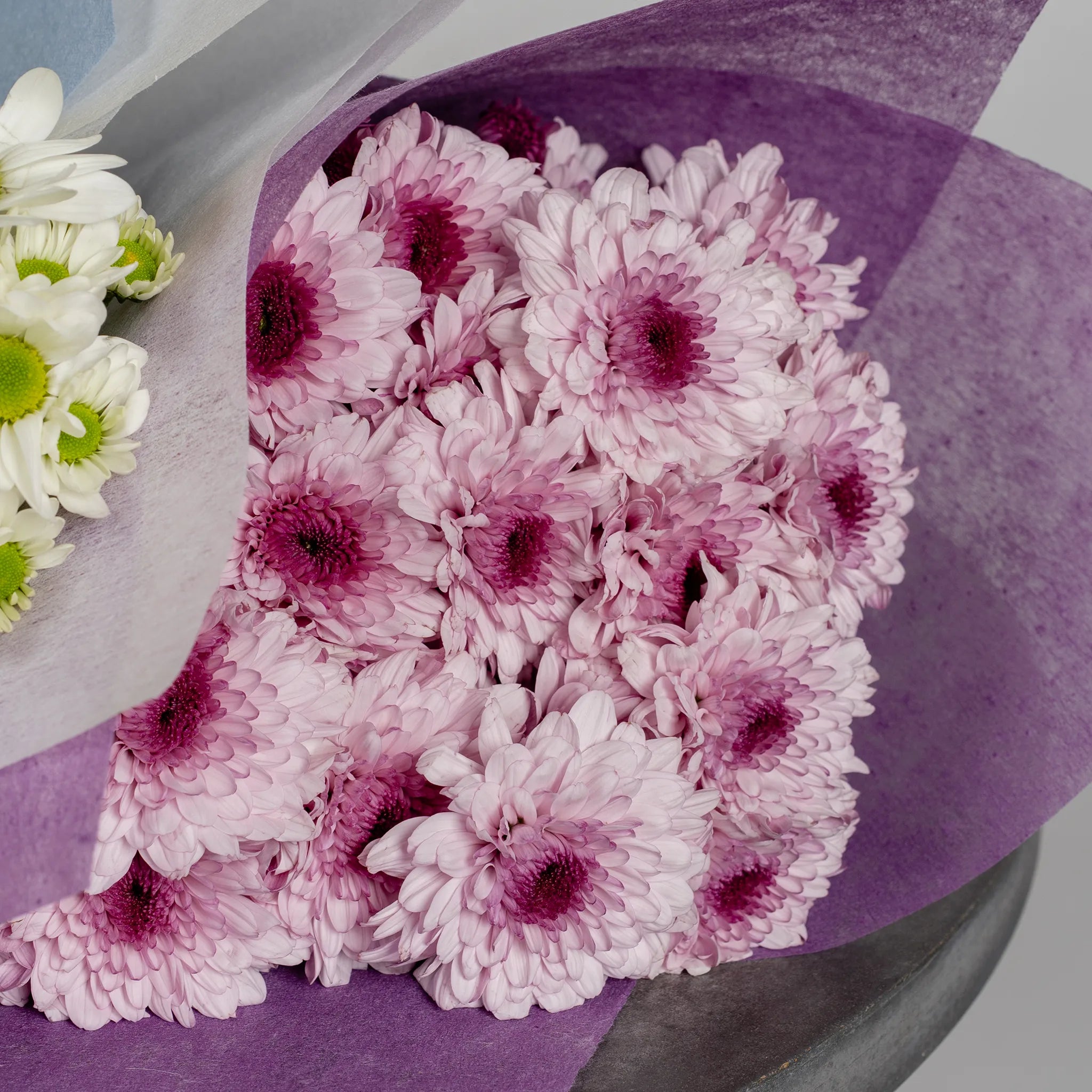 Timeless Daisy Chrysanthemums