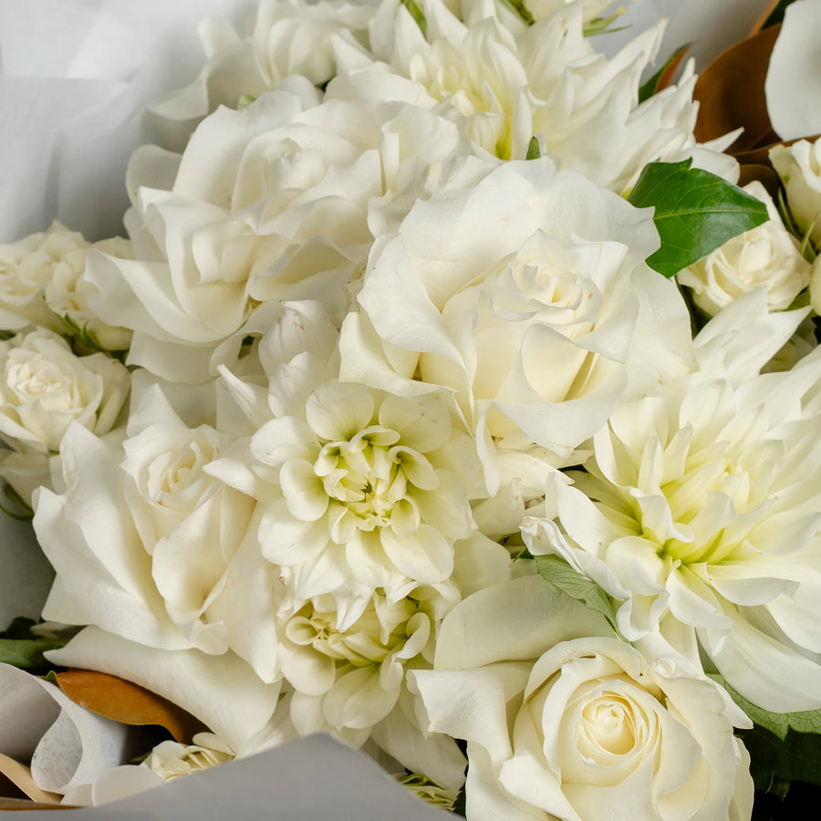 Purity