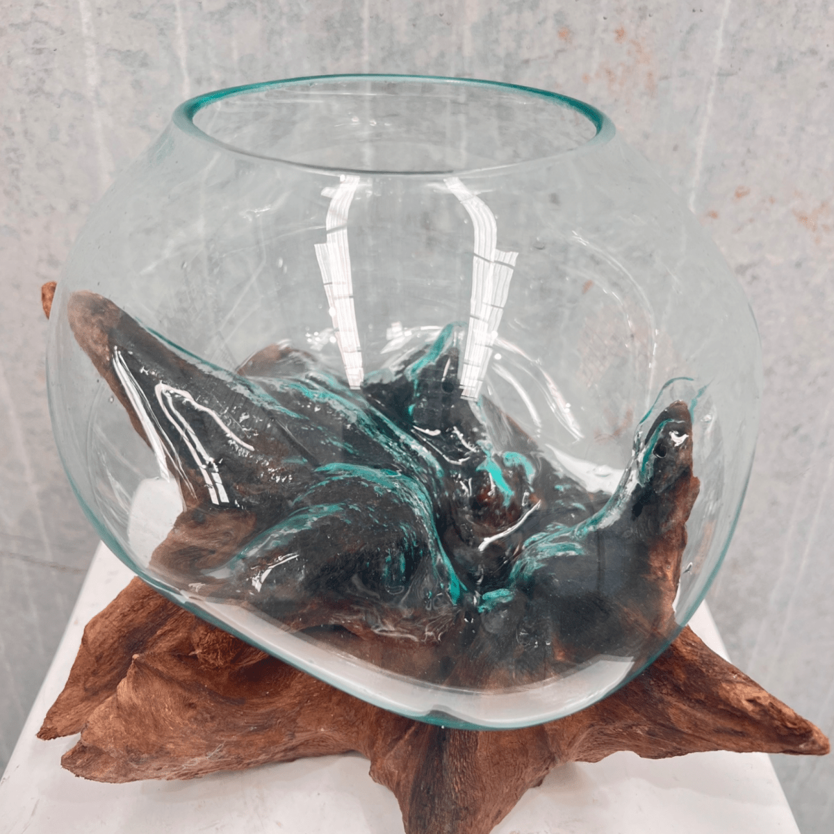 Glass vase on Driftwood - ROSE &amp; CO