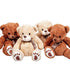 Teddy Bear - ROSE & CO